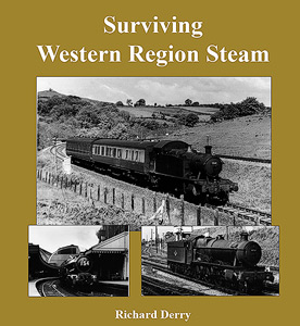 Surviving Western Region Steam