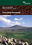 Limestone Pavement